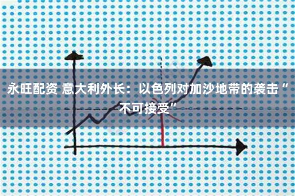 永旺配资 意大利外长:以色列对加沙地带的袭击“不可接受”