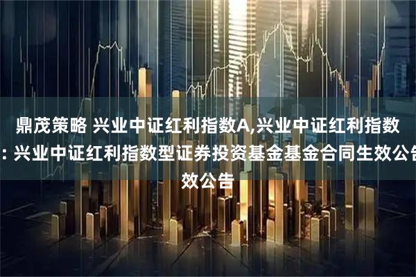 鼎茂策略 兴业中证红利指数A,兴业中证红利指数C: 兴业中证红利指数型证券投资基金基金合同生效公告
