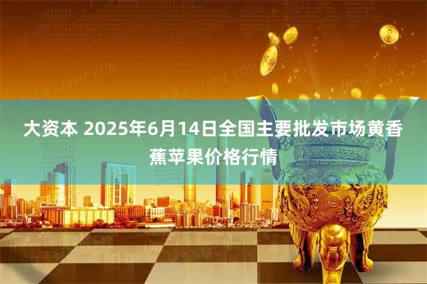 大资本 2025年6月14日全国主要批发市场黄香蕉苹果价格行情