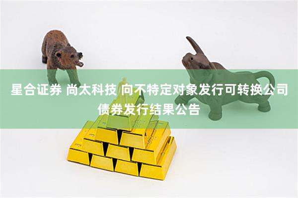 星合证券 尚太科技 向不特定对象发行可转换公司债券发行结果公告