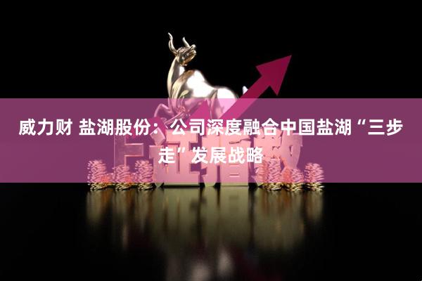 威力财 盐湖股份：公司深度融合中国盐湖“三步走”发展战略