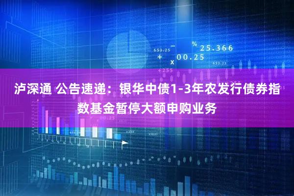 泸深通 公告速递：银华中债1-3年农发行债券指数基金暂停大额申购业务